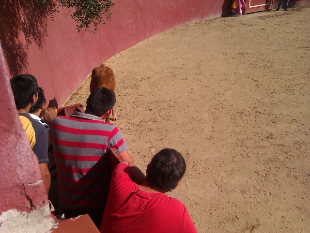 Tentandola desde el burladero